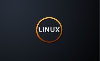 Linux C++获取当前执行文件的路径